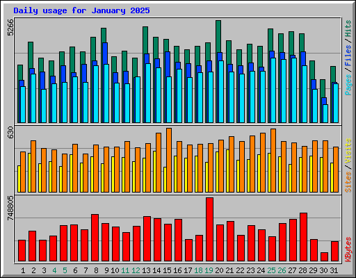 Daily usage for January 2025