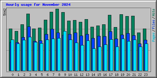 Hourly usage for November 2024