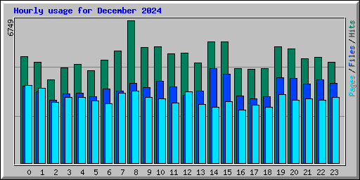 Hourly usage for December 2024