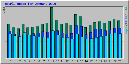 Hourly usage for January 2025